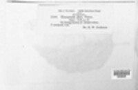 Image Associated With the Occurence